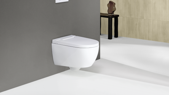 Geberit AquaClean Alba